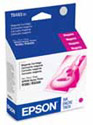 Epson T048320